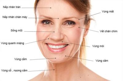 TOP NHỮNG THỰC PHẨM CHỐNG LÃO HÓA DA MẶT “VI DIỆU” TUỔI 30