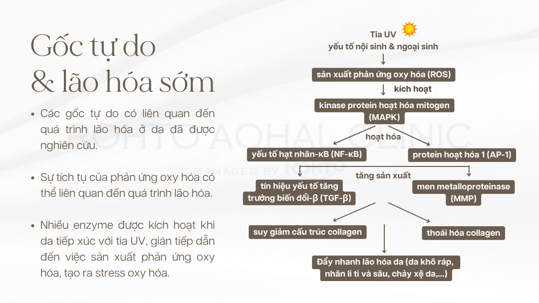 WEB_MYi_nhYt_GYc_tY_do