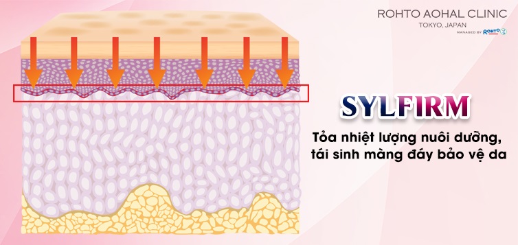 sylfirm-7